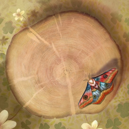 A Tree's Heart