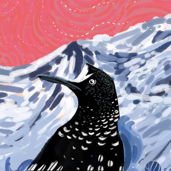 The Little Bird in the Big Mountains
