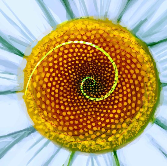 The Fascinating Fibonaccis