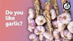 Do you like garlic?